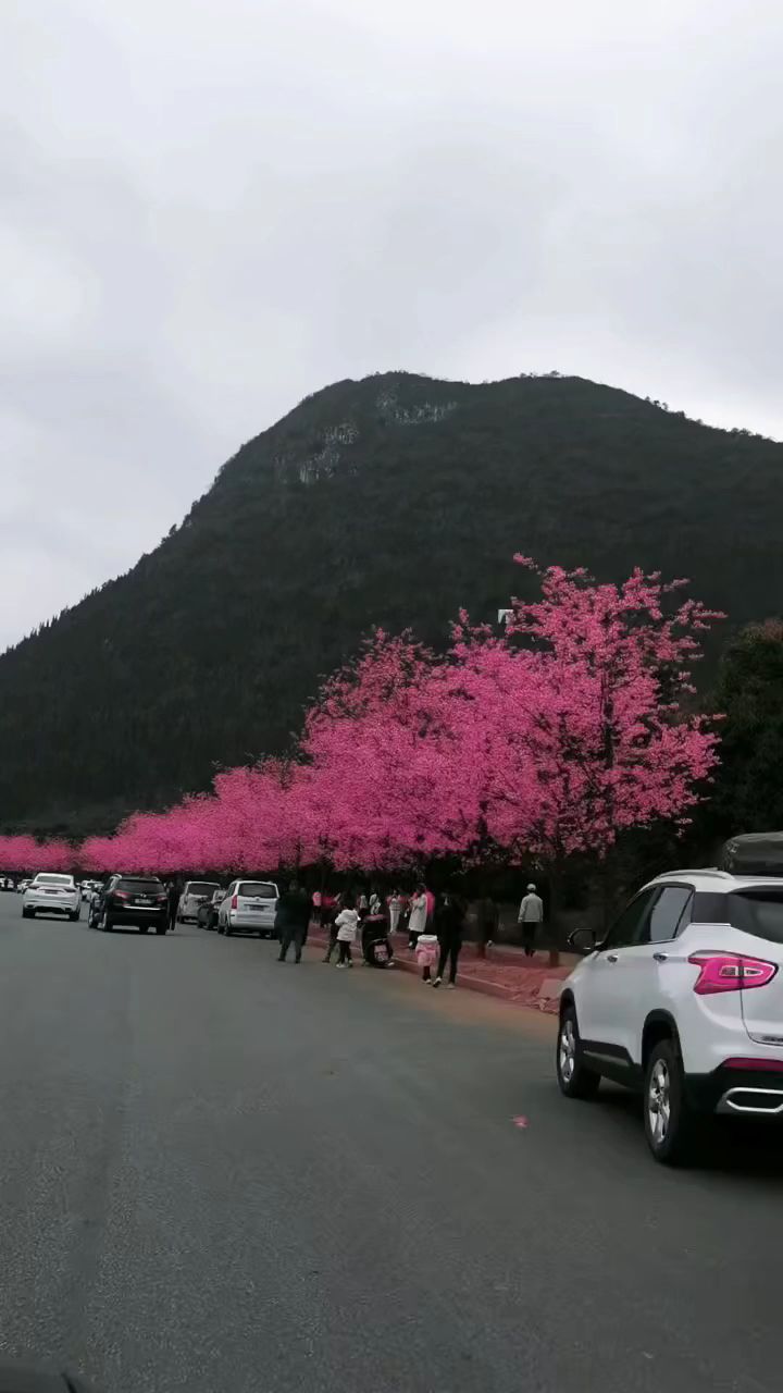 美吗