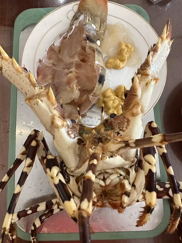 龙虾?